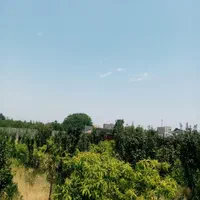 باغ قدیمی۳۵۰ متری/برق پای ملک/سند عرصه و اعیان|فروش زمین و ملک کلنگی|شهریار, |دیوار