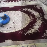 خدمات مبل شویی قالیشویی پاکان مبلشویی موکت خوشخواب|خدمات نظافت|شیراز, فرهنگ شهر|دیوار