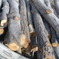 خرید انواع چوب باغی وخانه و....باقیمت بالا