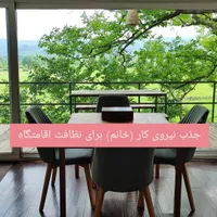 خدمات (نظافت اقامتگاه)