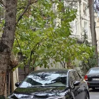 استثنایی ترین DS 5LS ایران