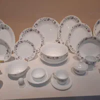 ظروف فله ظرف پارس اپال اوپال سرویس ارکوپال چینی|ظروف سرو و پذیرایی|تبریز, |دیوار