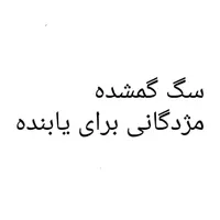 سگ ژرمن دورگ گمشده