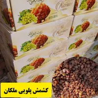 کشمش و دوشاب(شیره انگور ) کشمش مخصوص آبگیری|خوردنی و آشامیدنی|لاهیجان, کوی آزادگان|دیوار
