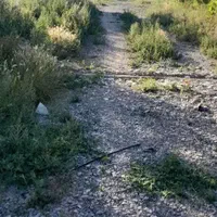 زمین ۳۳۰۰متری/چهارفصل/زیرقیمت منطقه/شکار|فروش زمین و ملک کلنگی|مشهد, باغستان|دیوار