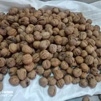 خرید و فروش  خشکبار|خوردنی و آشامیدنی|تهران, مسعودیه|دیوار