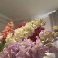 شاخه گل شب بو|گل مصنوعی|مشهد, هفت تیر|دیوار
