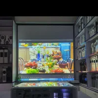 ویدئو پروژکتور با کیفیت