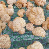 قارچ خالص یال شیر