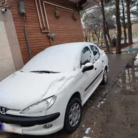 پژو 206 SD V8، مدل ۱۳۹۵