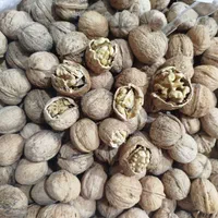 پخش عمده اجیل و خشکبار صدیک|عمده‌فروشی|شیراز, شهرک صنعتی|دیوار