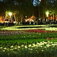 هم خانه خانم_ همخونه _غرب منطقه۲۲