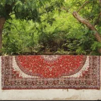 قالیشویی نامجو مدنی معلم سبلان گلبرگ |خدمات نظافت|تهران, شکیبا|دیوار