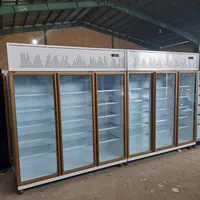 یخچال تاج ورقی نور دار طرح اکولایزر،