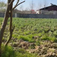 زمین روستایی هزار متری سند دار|فروش زمین و ملک کلنگی|رشت, پیرسرا|دیوار