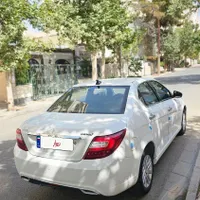 دناپلاس تیپ۲