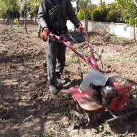 باغبانی لواسان ،فشم،پردیس،رودهن،دماوند|خدمات باغبانی و درختکاری|پردیس, |دیوار