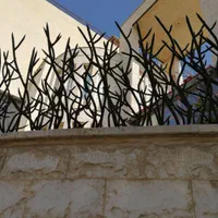 حفاظ شاخ گوزنی و گلنرده و ...