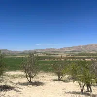 فروش زمین ۱۰۰۰ متری در کودیان|فروش زمین و ملک کلنگی|شیراز, کودیان|دیوار