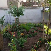 خدمات رسیدگی گل درمحل ۱۵ سال تجربه تعویض خاک گلدان|خدمات باغبانی و درختکاری|تهران, نیاوران|دیوار