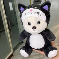 عروسک سالیوان/پولیشی|اسباببازی|قم, بلوار امین و ساحلی|دیوار