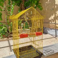 قناری نرسفیدوماده نقرهای قفس عروس هلندی سهره کبوتر|پرنده|شاهین‌شهر, شهرک گلدیس|دیوار