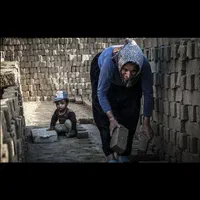 بلوکه سفال آجر سه گل ده گل آژند ( سفارش مستقیم)|مصالح و تجهیزات ساختمان|مشهد, رضاشهر|دیوار