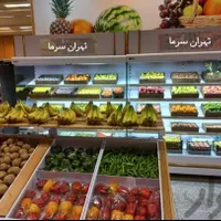 یخچال ویترینی گل،میوه فروشی قصابی لبنیات هایپر|فروشگاه و مغازه|مشهد, فدک|دیوار