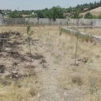 فروش زمین کوشک زر|فروش زمین و ملک کلنگی|هشتگرد, کوشک زر|دیوار