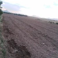 زمین کشاورزی باموقعیت عالی مناسب باغ وباغ ویلا|فروش زمین و ملک کلنگی|خمین, |دیوار