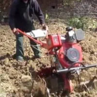 پاکنی باغها وباغچها تمام خدمات باغبانی|خدمات باغبانی و درختکاری|شیراز, قصرالدشت|دیوار