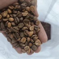 پخش دان قهوه مستقیم از روستری روبستا و عربیکا و..|خوردنی و آشامیدنی|مشهد, فرهنگ|دیوار