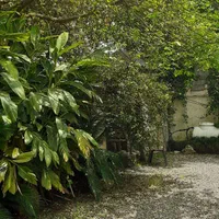 ویلا استخربزرگ دوخواب کنار رودخانه|اجارهٔ کوتاهمدت ویلا و باغ|رامسر, |دیوار