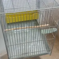 قفس پرنده ، سهره و قناری
