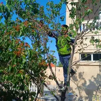 باغبانی ،سم پاشی ،هرس کاری ،تیلر زنی،تعویض خاک
