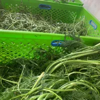 هایپر سبزی سبزینو|خوردنی و آشامیدنی|تهران, نیکنام|دیوار