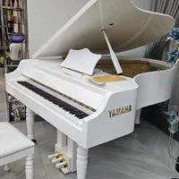 پیانو گرند مخصوص فضای بزرگ و لوکس|پیانو، کیبورد، آکاردئون|تهران, جمهوری|دیوار