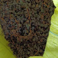 مویز وکشمش خرما خمیر خرما شیره خرما|عمده‌فروشی|شیراز, شهرک مدرس|دیوار