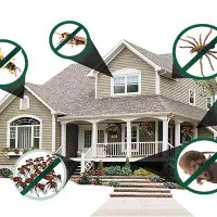 سمپاشی اسپادانا|خدمات نظافت|فولادشهر, B1|دیوار