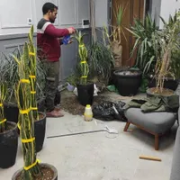 خدمات باغبانی متخصص گل منزل کودهی تعویض خاک گلدان