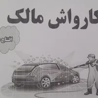نیرو کارواش ماهر و ثابت