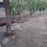 اجاره روزانه سوئیت دربست حیاط دار آتشگاه|اجارهٔ کوتاه‌مدت آپارتمان و سوئیت|کرج, باغستان|دیوار