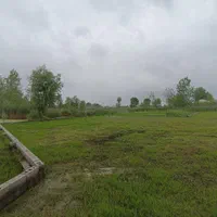 ۲۲۰ متر پشت پارک ساحلی و مسکونی|فروش زمین و ملک کلنگی|چاف و چمخاله, |دیوار