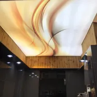 طراحی واجرای کناف سقف کشسان لایت باکس سقف استخر|خدمات پیشه و مهارت|شیراز, هفت تنان|دیوار