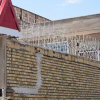 حفاظ شاخ گوزنی|خدمات پیشه و مهارت|سبزوار, |دیوار