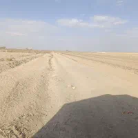 فروش ۴ هکتار زمین کشاورزی برسیان|فروش دفتر صنعتی، کشاورزی، تجاری|اصفهان, بهارستان|دیوار