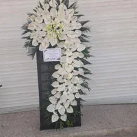 فروش تخصصی انواع سفارشات گل مسجد تاج-گل تالار|گل و گیاه طبیعی|تهران, ستارخان|دیوار