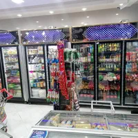 تولید وفروش انواع یخچالهای صنعتی با مصرف برق کم|فروشگاه و مغازه|اراک, |دیوار