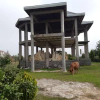 زمین با اسکلت