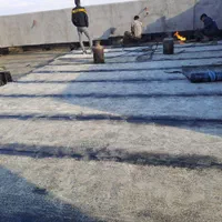 نصب ایزوگام شرق لکه گیری در تمام نقاط|خدمات پیشه و مهارت|مشهد, طلاب|دیوار